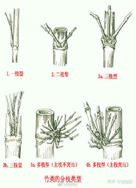 竹木、藤苇、干草与连接器和连接线的区别