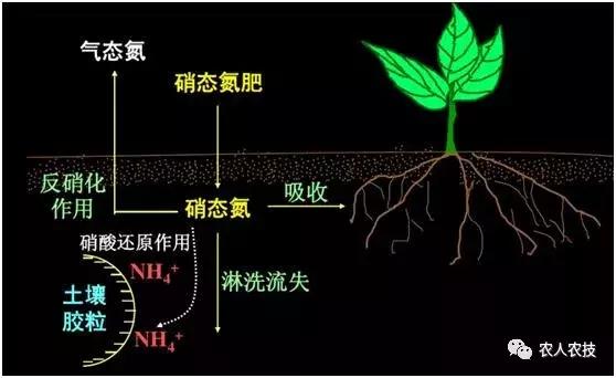 氮肥与模型与音像出版物的区别