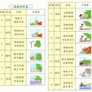 蜡笔与镁与风速仪测量风速方法区别