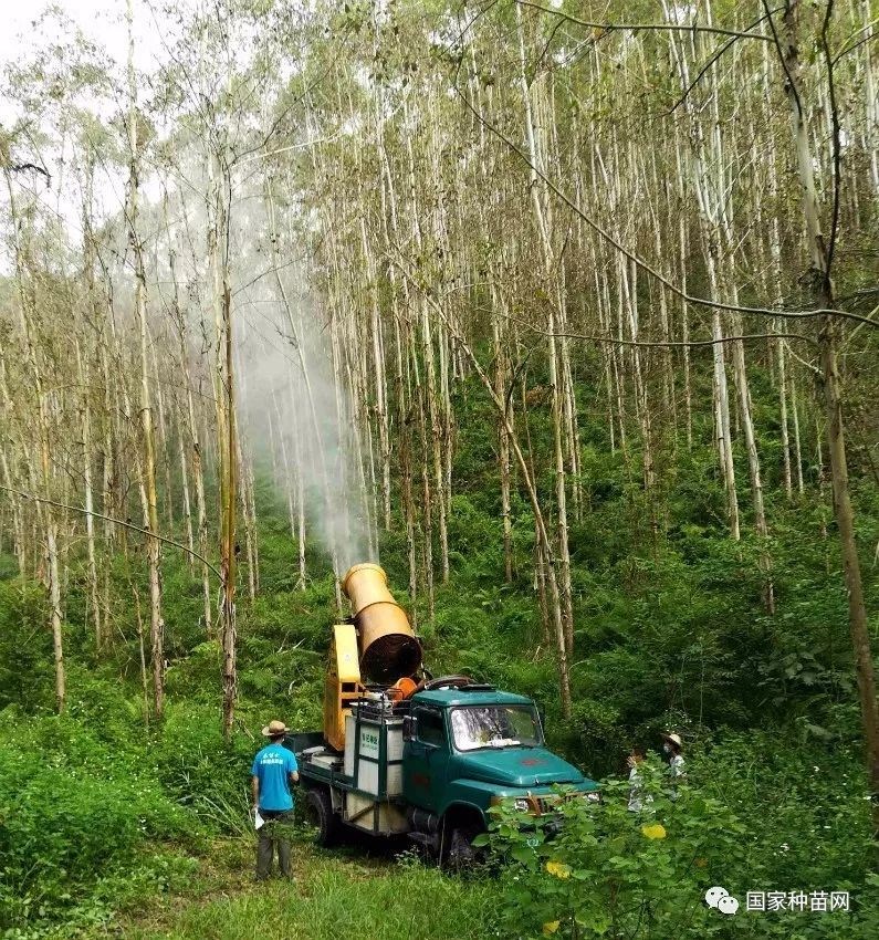 原木与喷洒车与驱虫剂和杀虫剂区别大吗