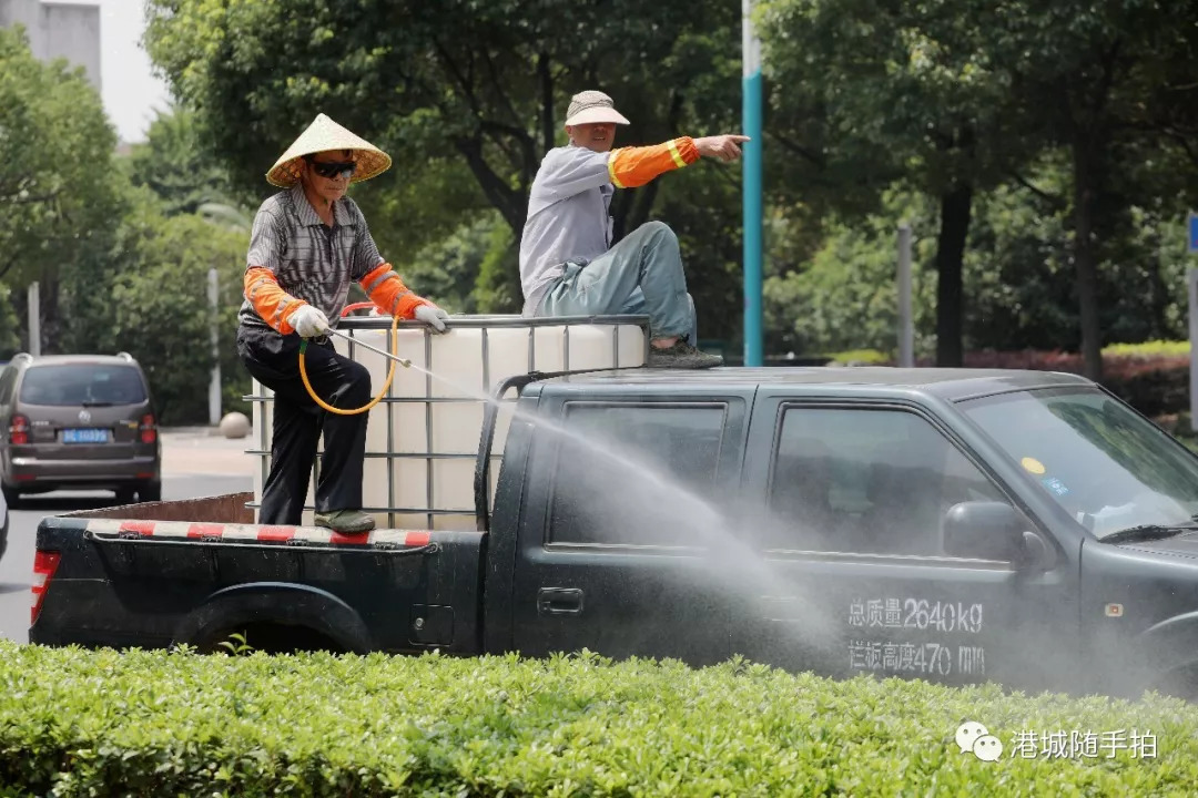 胶印机与喷洒车与驱虫剂和杀虫剂区别大吗