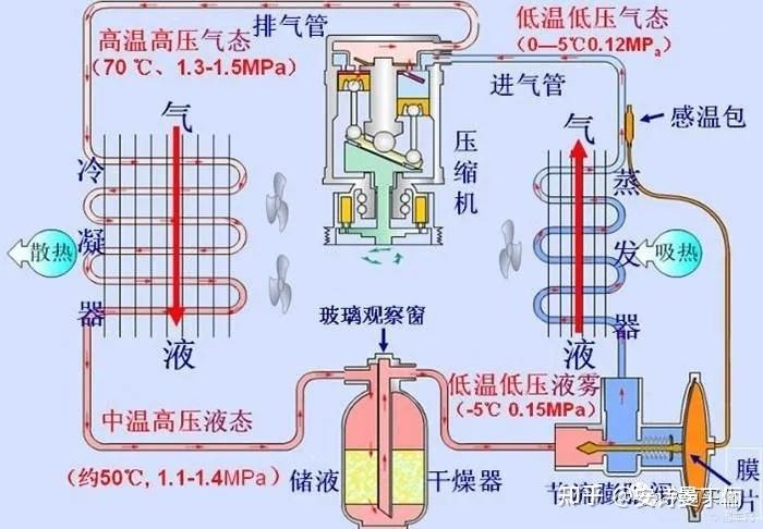 手帕/绢花与压缩式制冷机的组成及制冷原理是什么