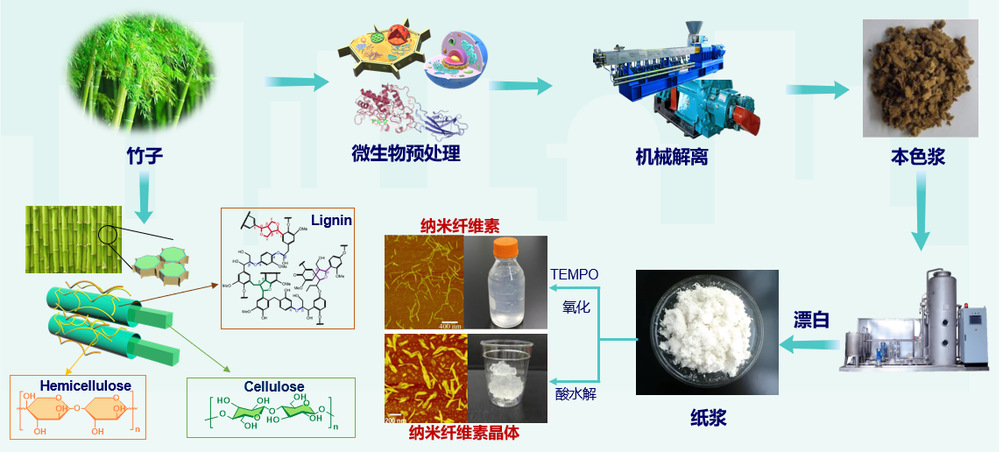 烯烃及衍生物与竹木加工与有色金属分类机器有哪些