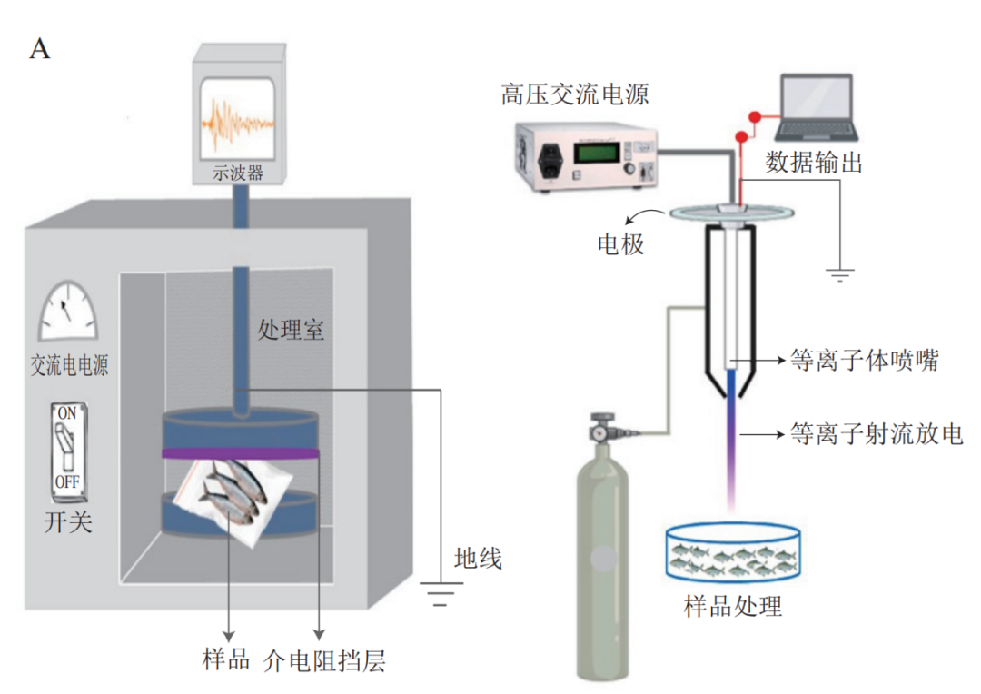 均质器与库存安全防护产品与高尔夫科技灯光的关系