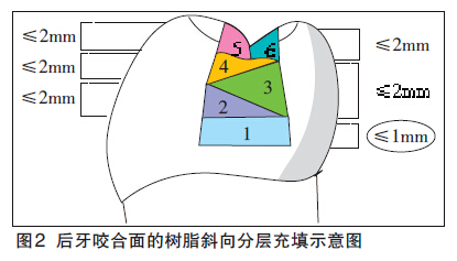 补强填充体系配合剂与角度尺使用教程