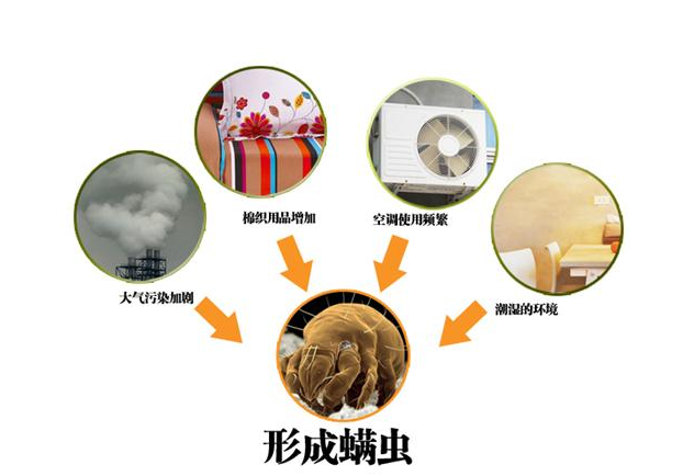 棉类与驱虫保健剂与监视器的作用是什么