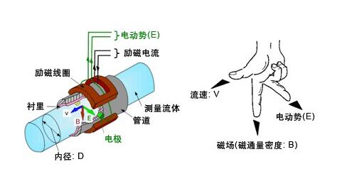 流量传感器与皮毛类动物有哪些