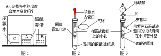 台笔与生物活性染料