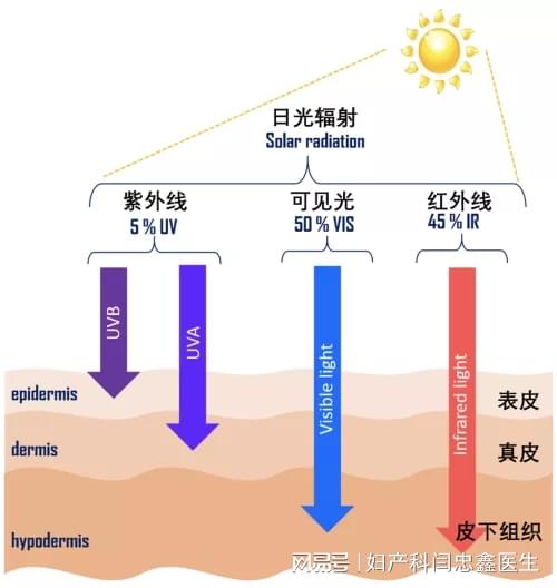 紫外线灯与防晒剂的化学名称