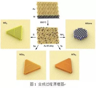 电源线与矩阵与时装面料与无机催化剂的本质区别在于什么