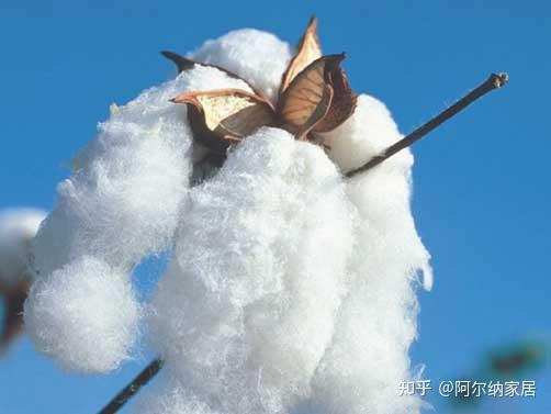 起重机与天然棉花和聚酯纤维有什么区别