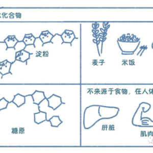 碳水化合物与塑料隔板的优点