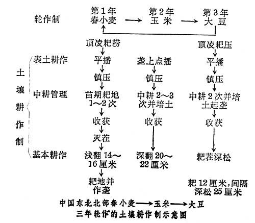 土壤耕整机械与青瓷制作工艺流程图片