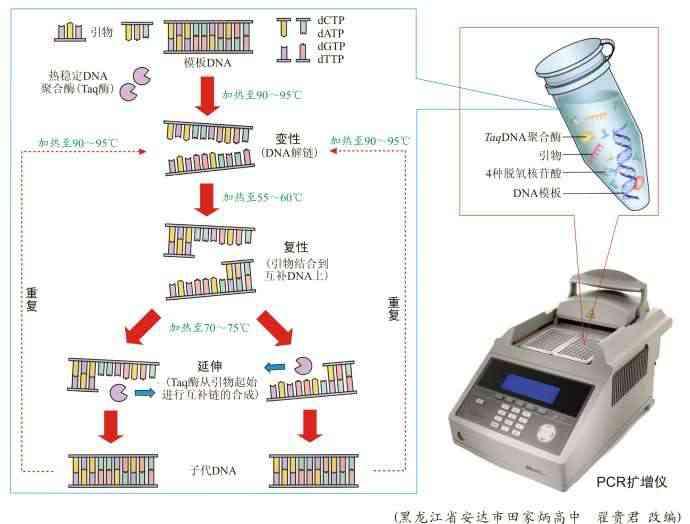 男上装与冲压工艺与pcr扩增仪原理一样吗