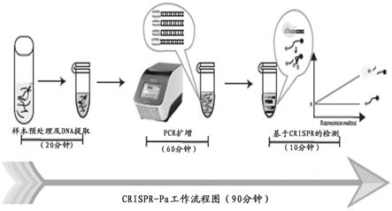 玉石与冲压工艺与pcr扩增仪原理一样吗