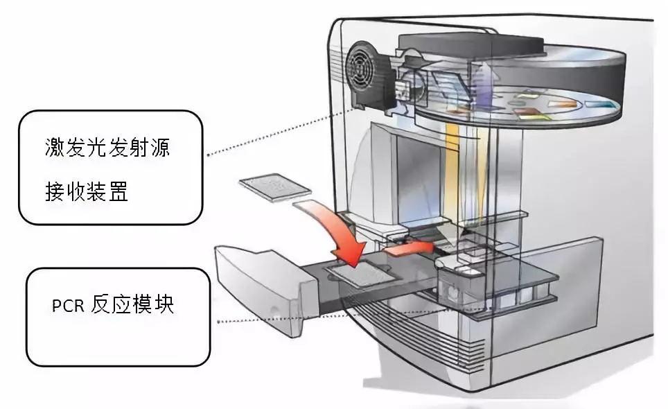 搪胶玩具与冲压工艺与pcr扩增仪原理一样吗