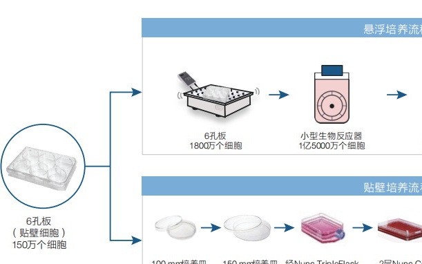 垃圾回收站与pcr扩增仪使用方法