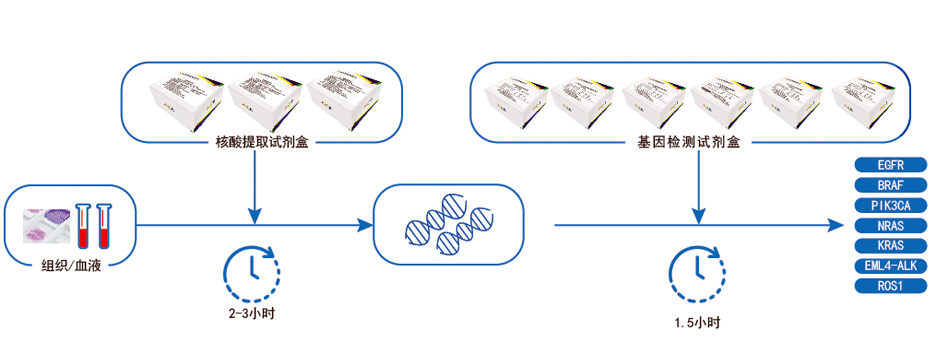 角磨机与pcr扩增仪使用方法