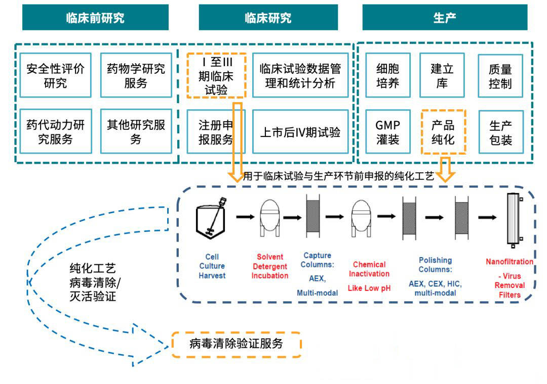 知识产权与消毒剂病毒杀灭试验