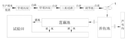 新鲜蔬菜与污泥处理系统设计