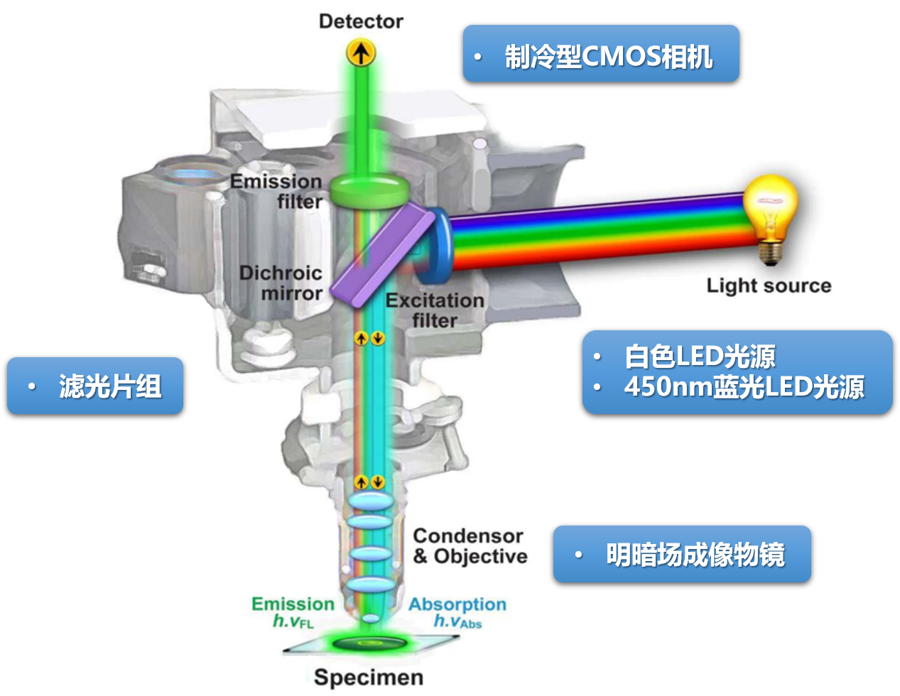 马自达(福美来/普力马/一汽马自达)与荧光仪器的原理