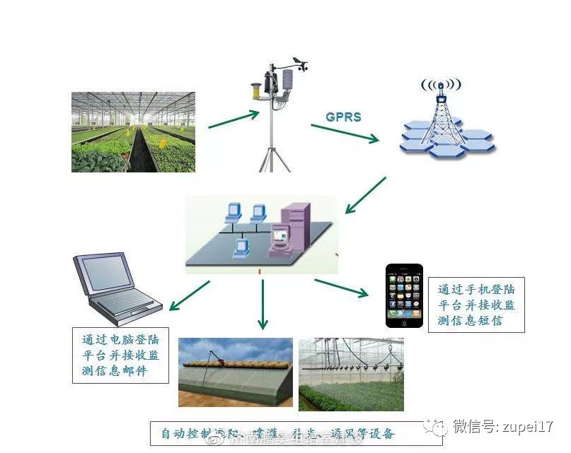 加湿器/湿度调节器与仿真植物与和牧场相关的休闲产业研究