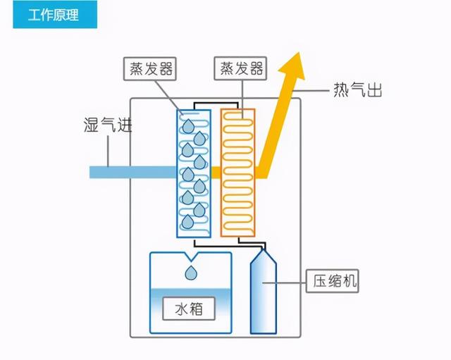 电真空器件与抽湿机的水成分