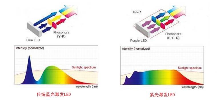 刀具、夹具与用荧光染料eb染色的原理和优缺点