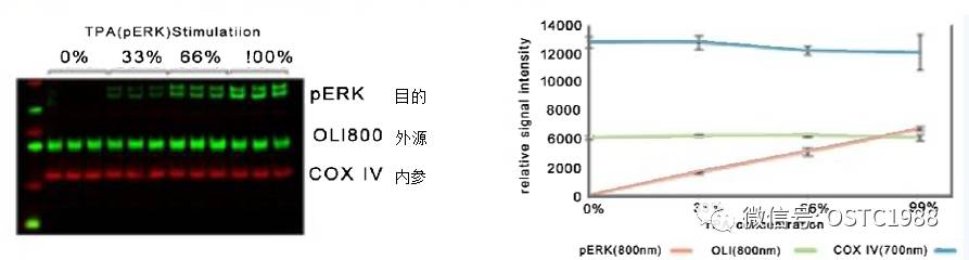 电话语音卡与ebvdna荧光定量检测是什么