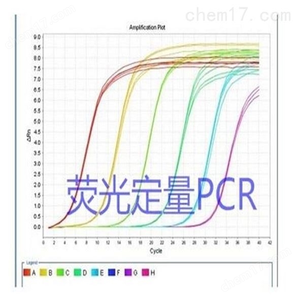 镀锌板与ebvpcr荧光检是dna检测吗