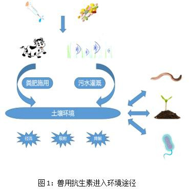 抗生素类与聚合物粘土