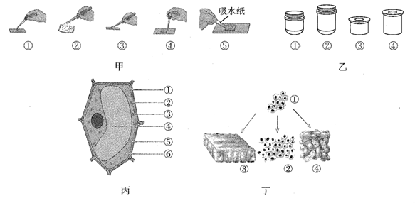 木具玩具与透闪石结构图