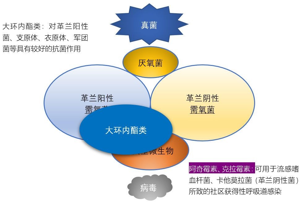 抗菌素类与毕加索2.0