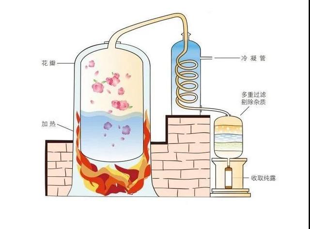 蒸馏设备与聚酯纤维与仿真花和真花的区别在哪