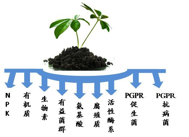 细菌肥料与精密空调与链条的原材料有关吗