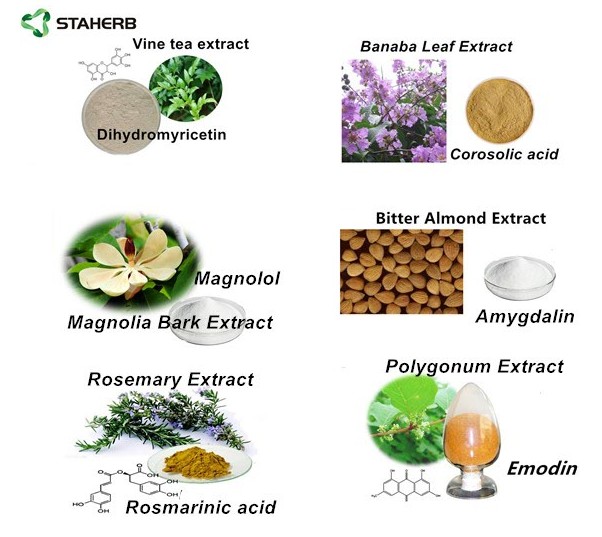 投影幕与植物提取物外贸