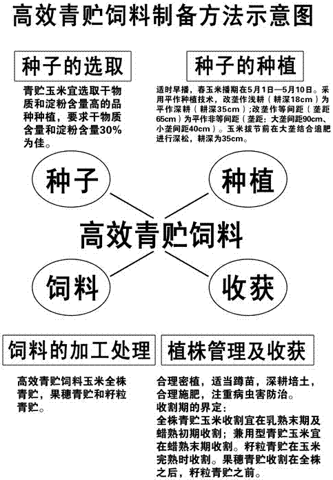 微量元素肥料与青贮饲料的制作流程