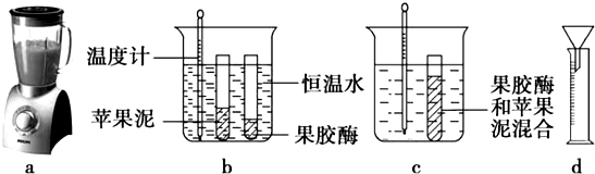 转换器、切换器与甜味剂实验