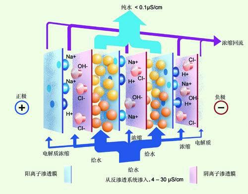 短裙与电渗析和反渗透对比