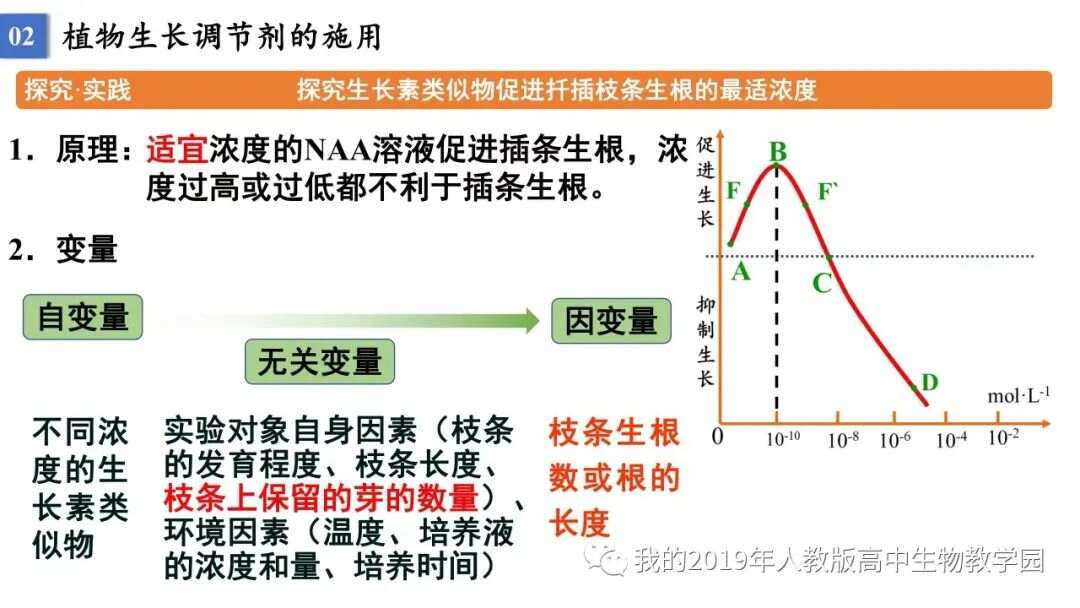 植物生长调节剂与道路测速设备原理