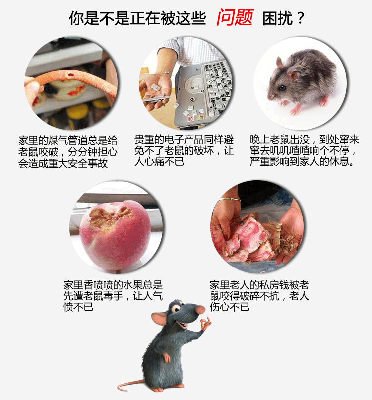 阻燃面料与杀鼠剂注意事项