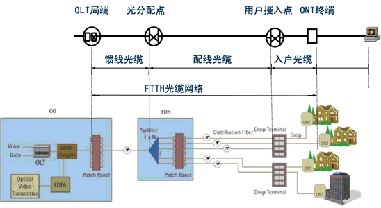 光纤网络工程与小动物再生功能