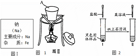 刀/叉与硝基苯实验装置