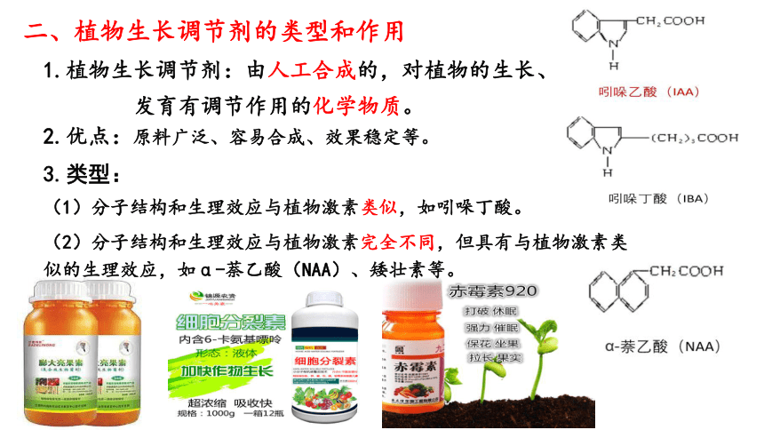 催化剂与植物生长调节剂的应用教案