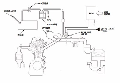 汽车安全用品与马自达evap罐清洗阀在哪里