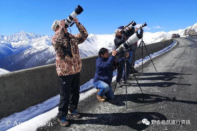 旅行服务与公路摄像能保存多久