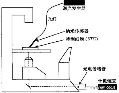  马皮革与光纤传感器及光电传感器实验