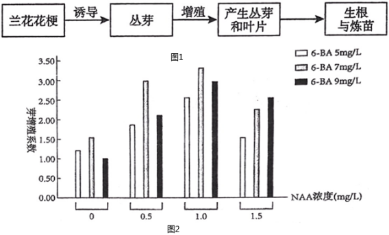 镍与探索植物生长调节剂的应用实验