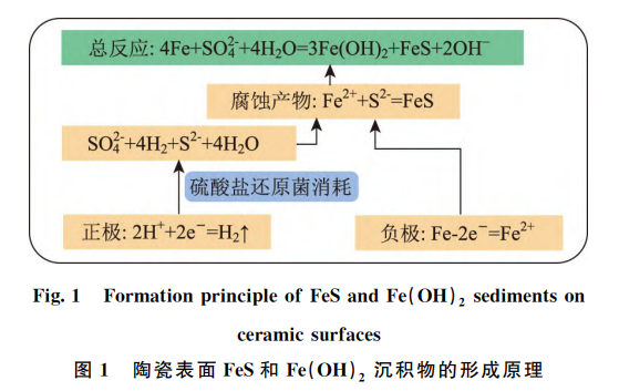 网页制作与硫在混凝土中的作用