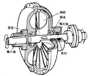 表带与工艺钟表与除氧器和给水泵哪个好